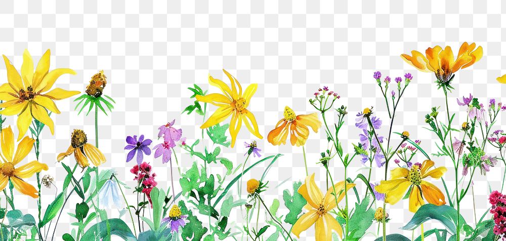 PNG Yellow flowers and wildflowers backgrounds outdoors pattern.