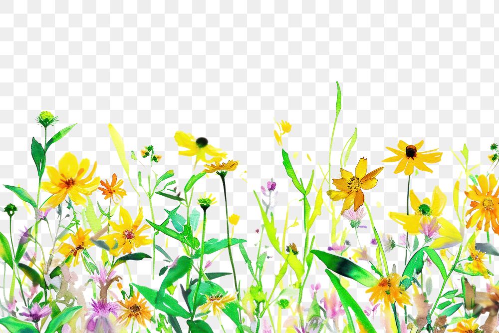 PNG Yellow flowers and wildflowers backgrounds outdoors nature.