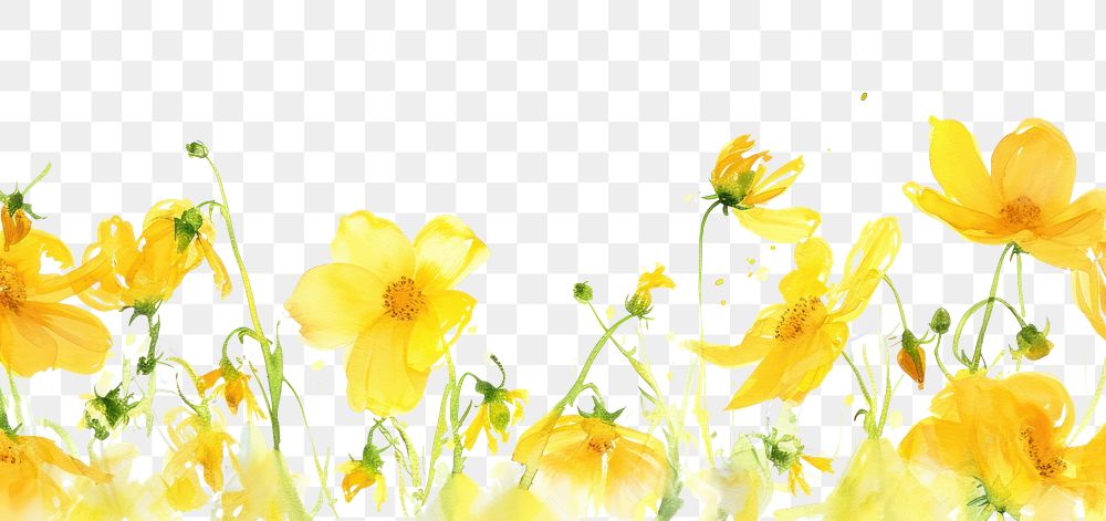 PNG Yellow flowers backgrounds outdoors nature.
