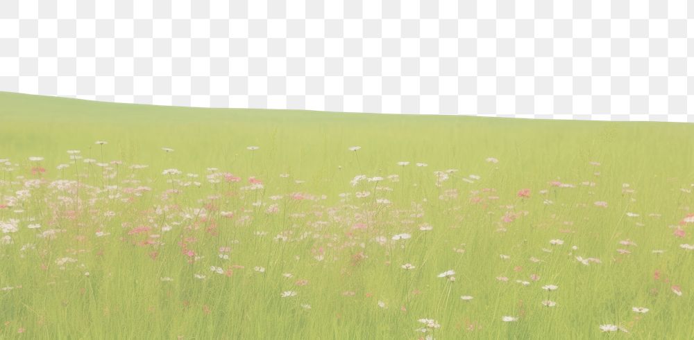 PNG Aesthetic meadow scenery photo backgrounds grassland outdoors.