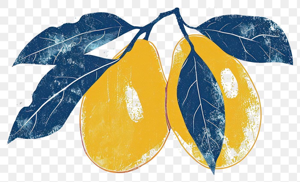 PNG  Antique of mango fruit lemon plant