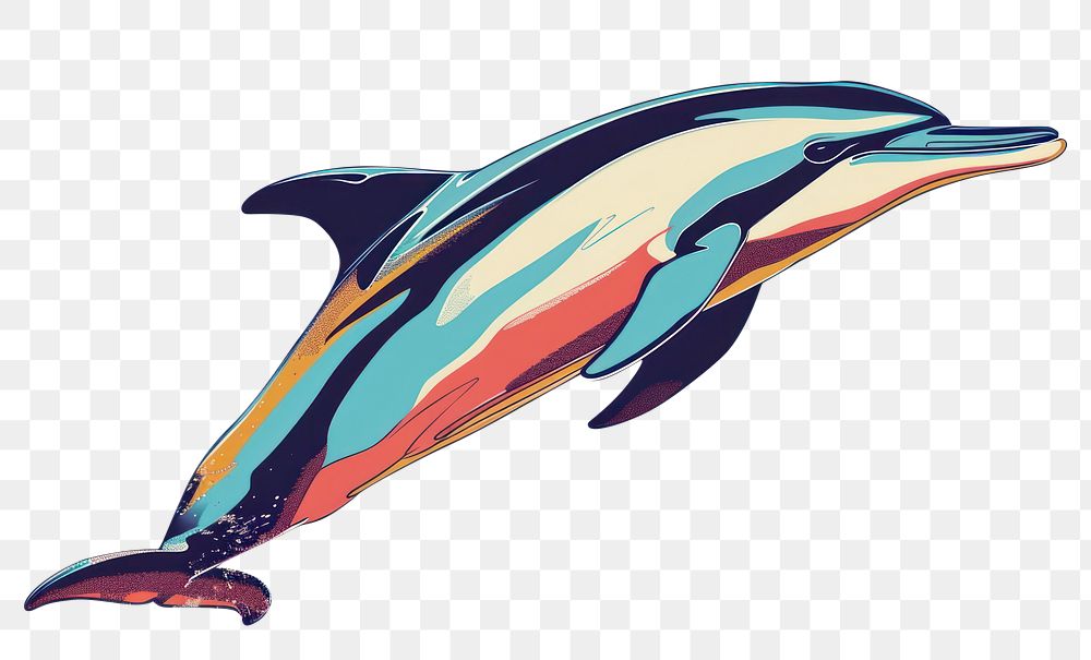 PNG  Illustration of dolphin animal fish underwater.