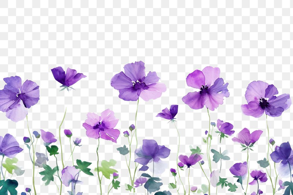 PNG  Purple flower backgrounds blossom nature.