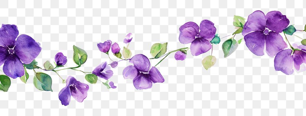 PNG  Purple flower nature petal plant.