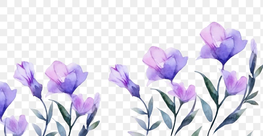 PNG  Purple flower backgrounds lavender blossom.