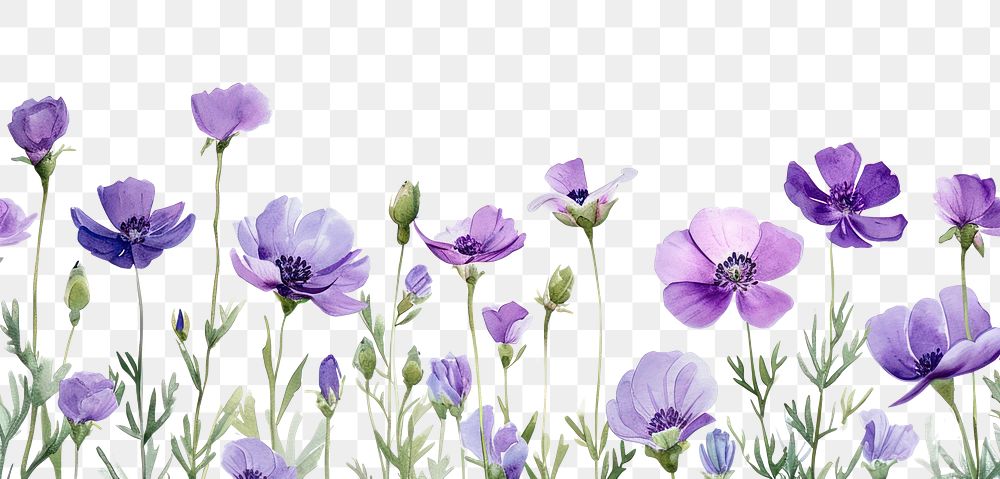 PNG  Purple flower nature backgrounds lavender.