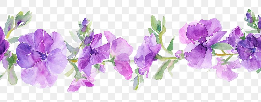 PNG  Purple flower blossom nature petal.