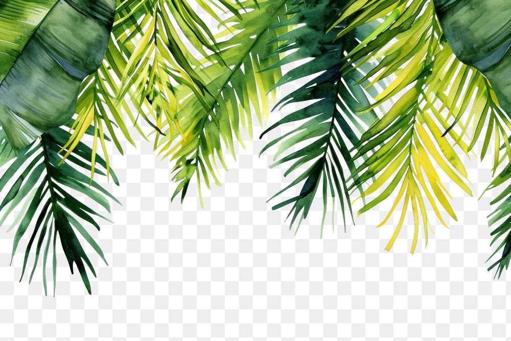PNG  Palm leaves border nature backgrounds plant.