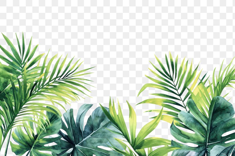 PNG  Palm leaves border nature backgrounds outdoors.