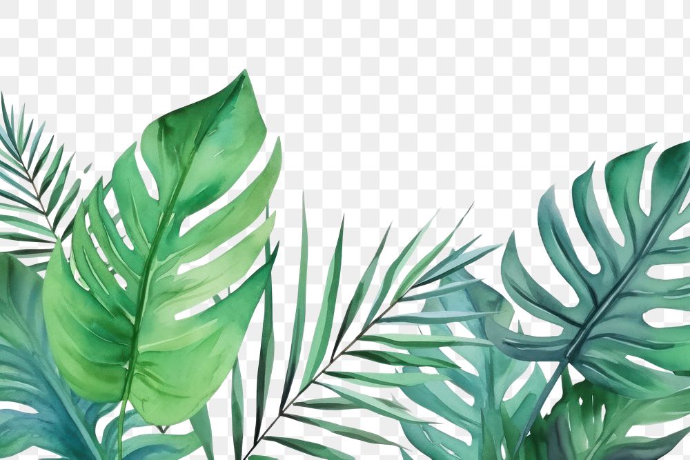 PNG  Tropical leaves backgrounds tropics nature.