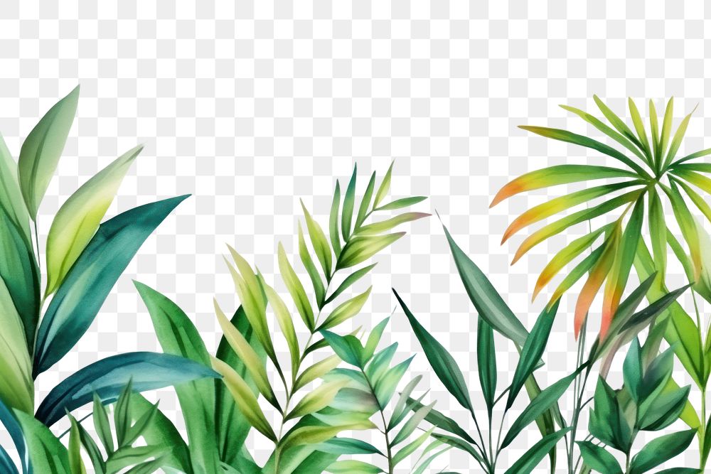 PNG  Tropical leaves nature backgrounds vegetation.