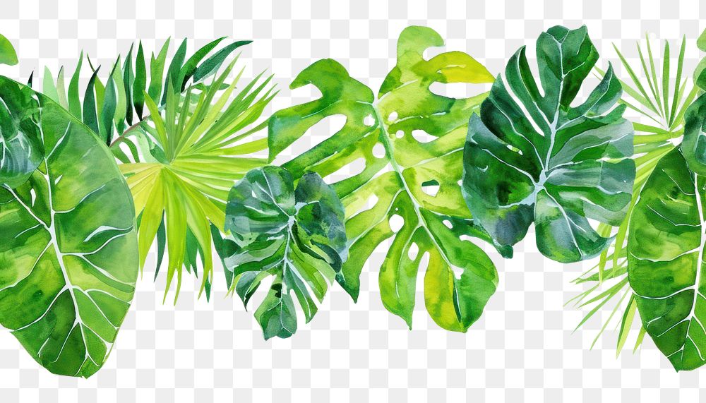 PNG  Tropical leaves backgrounds nature plant.