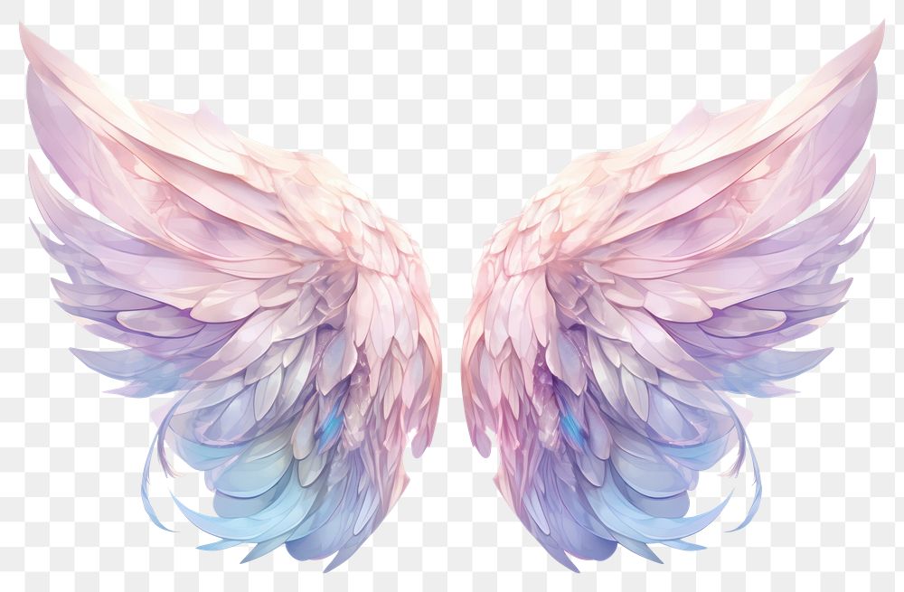 PNG Wings angel white background lightweight.
