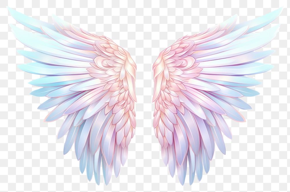 PNG Wings angel white background creativity.