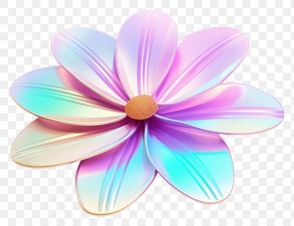 PNG Daisy icon jewelry flower petal.
