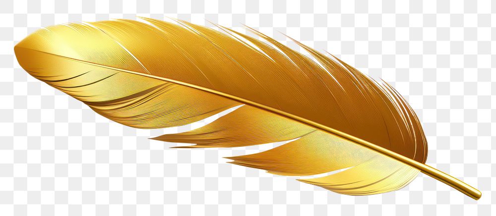 PNG  Gold feather jewelry leaf.