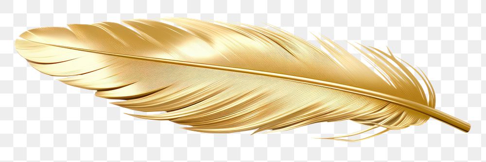PNG  Feather jewelry gold white background.