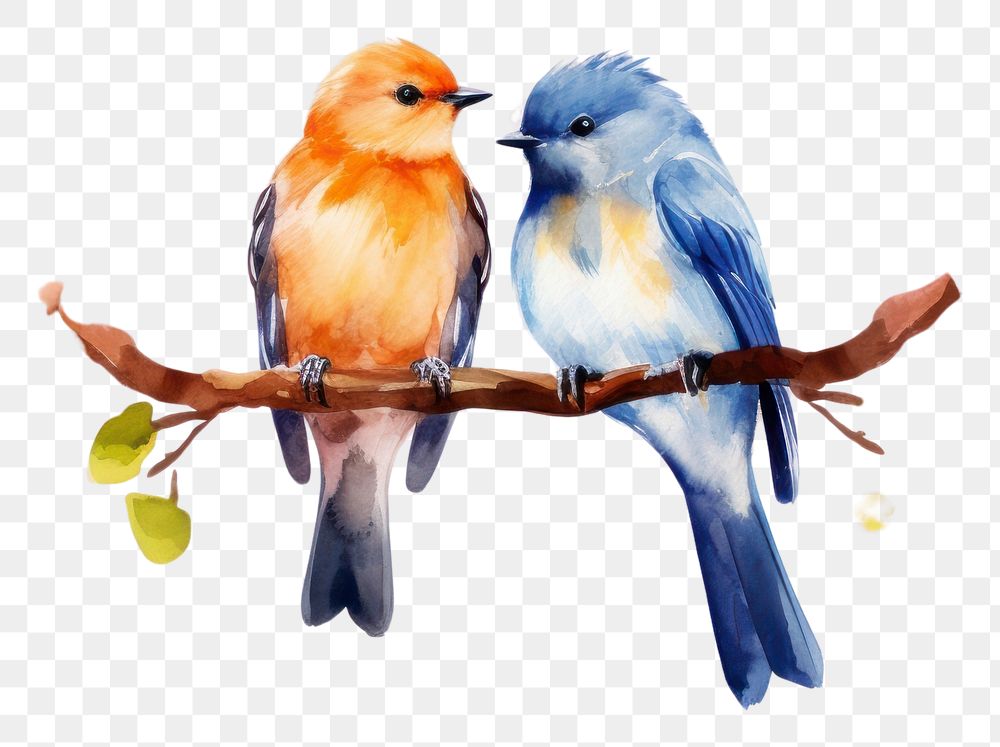 PNG  Love birds border painting animal nature