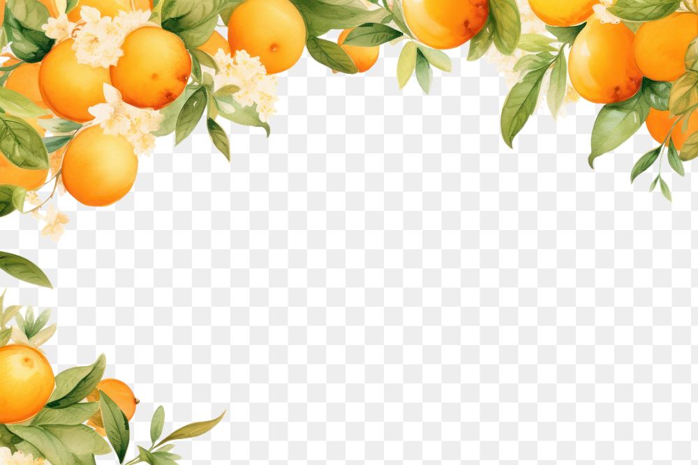 PNG Garland oranges fruit grapefruit plant food.