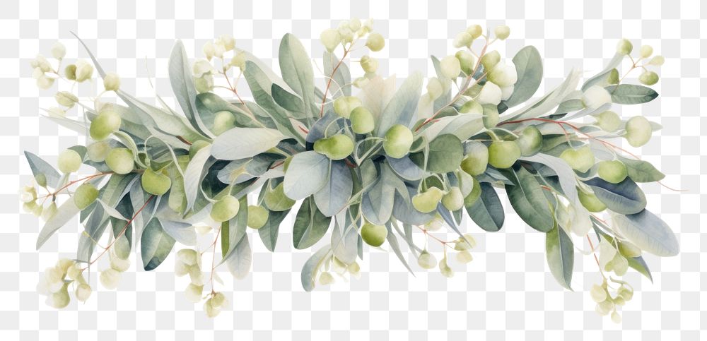 PNG Garland eucalyptus Swags flower plant accessories.