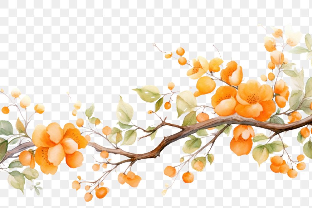 PNG Orange branch top border plant food tangerine.