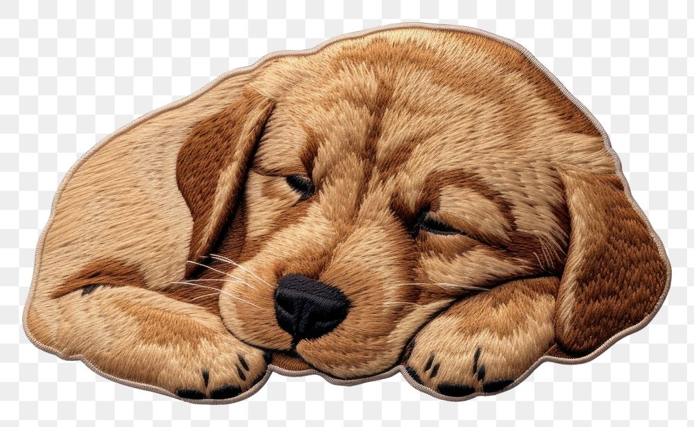 PNG Dog sleeping animal mammal puppy. AI generated Image by rawpixel.