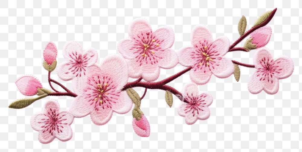 PNG Sakura blossom flower plant. AI generated Image by rawpixel.