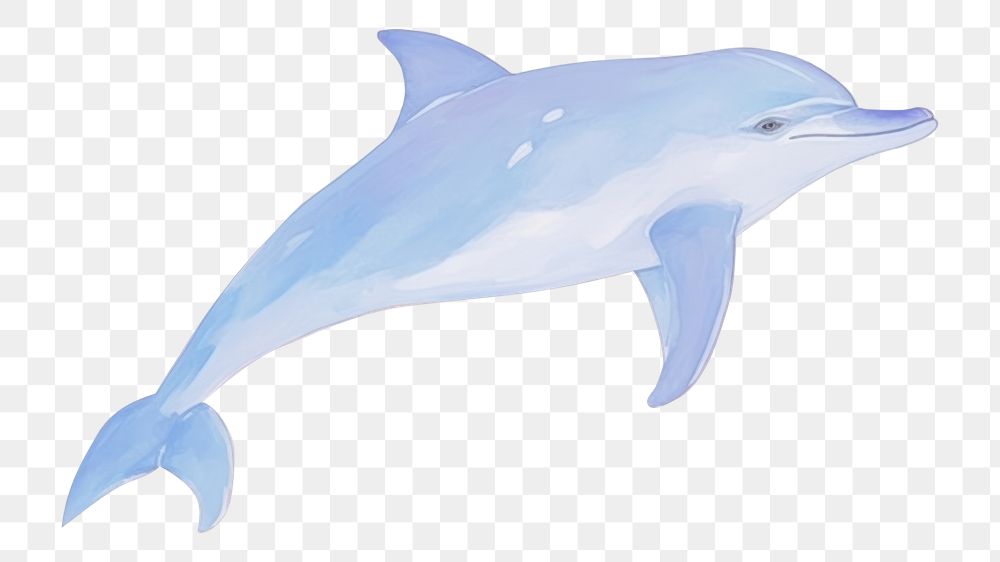 PNG Abstract art of dolphin animal mammal fish.