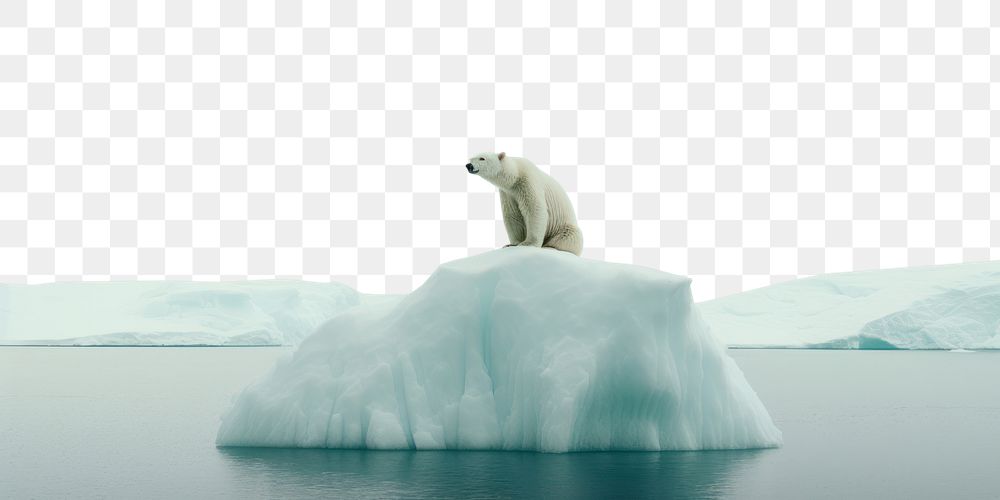 Polar bear on the iceberg wildlife outdoors nature. AI generated Image by rawpixel.