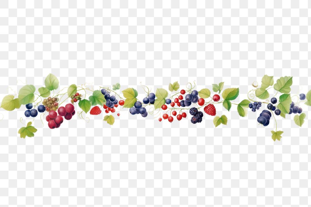 PNG Berrys decorate blueberry grapes fruit.