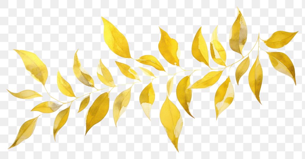 PNG Gold leafs plant white background macrocystis.