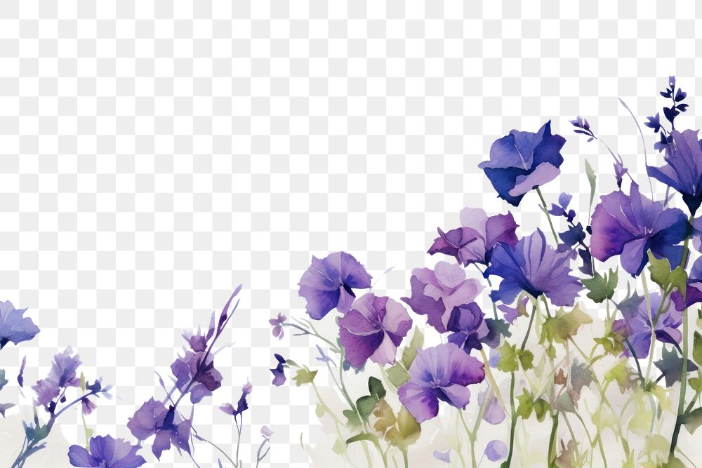 PNG Purple flowers backgrounds outdoors blossom.