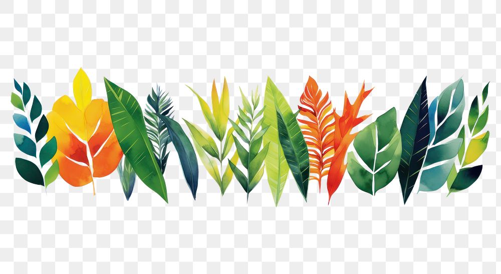 PNG Tropical leaves pattern nature plant.