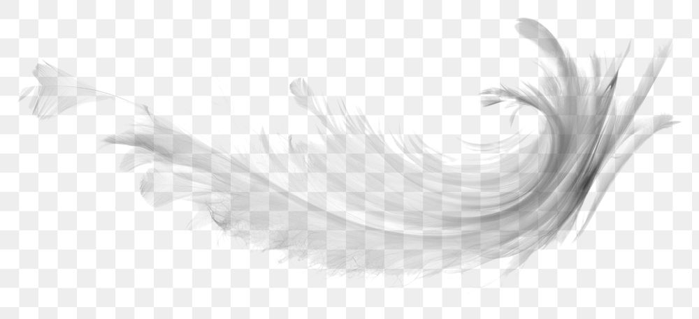 PNG Feather white backgrounds swirl. AI generated Image by rawpixel.