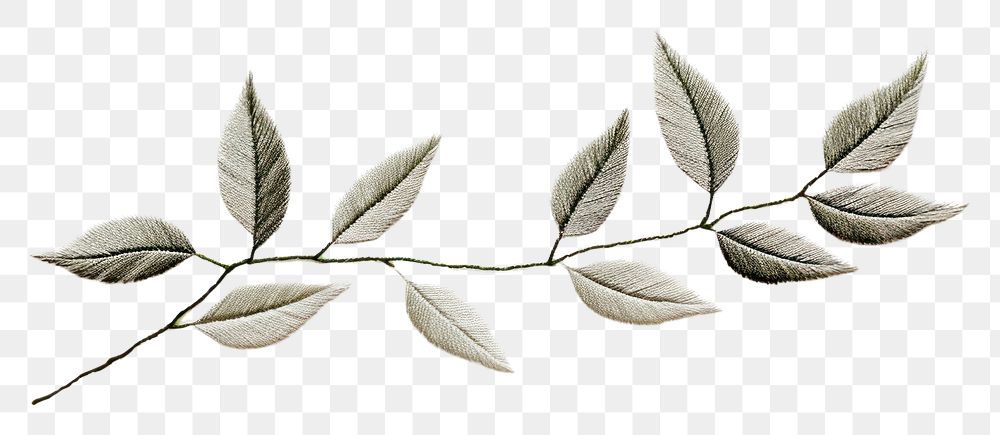 PNG Leaf in embroidery style plant branch nature.