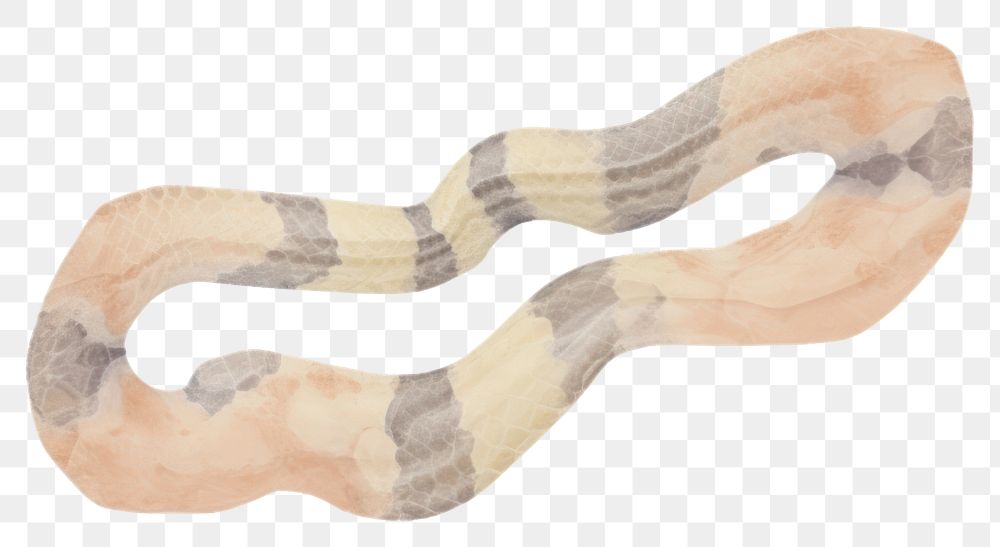 PNG Snake marble distort shape white background boerewors bratwurst.