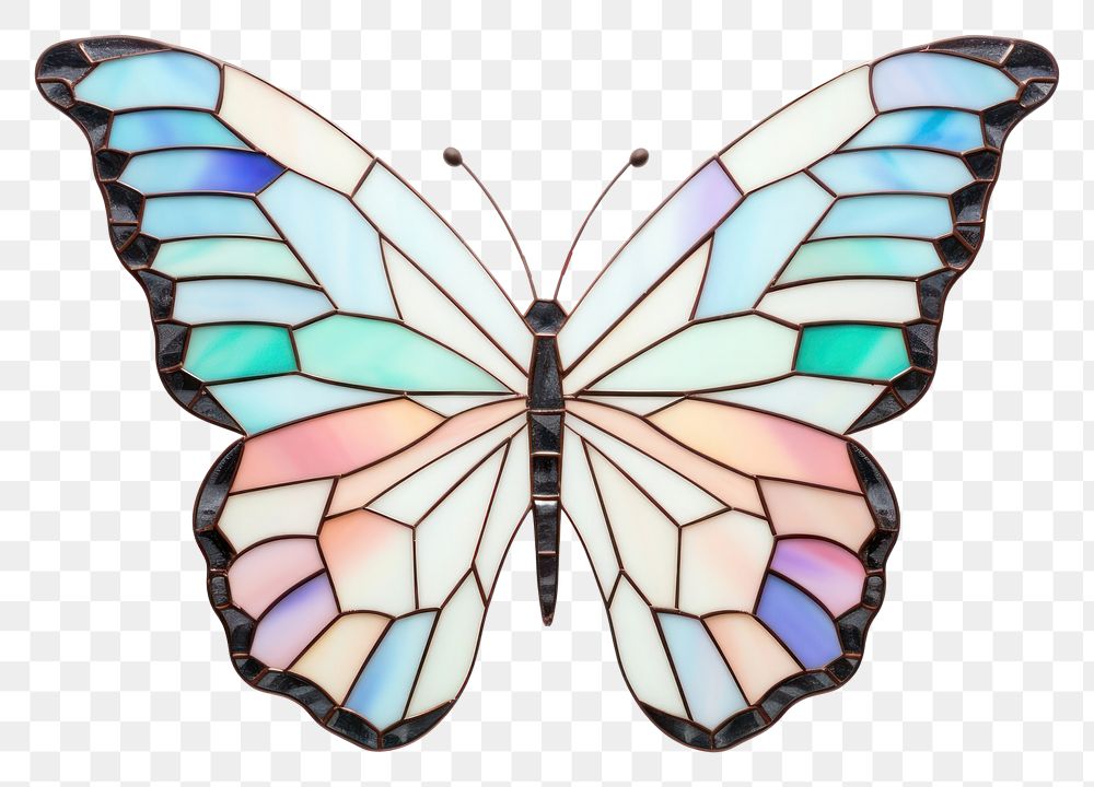 PNG Mosaic a blank butterfly frame insect animal wing.