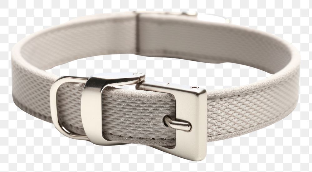 PNG Cat collar buckle belt 