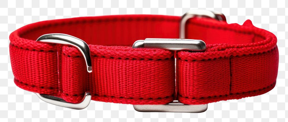 PNG Dog collar belt white background accessories.