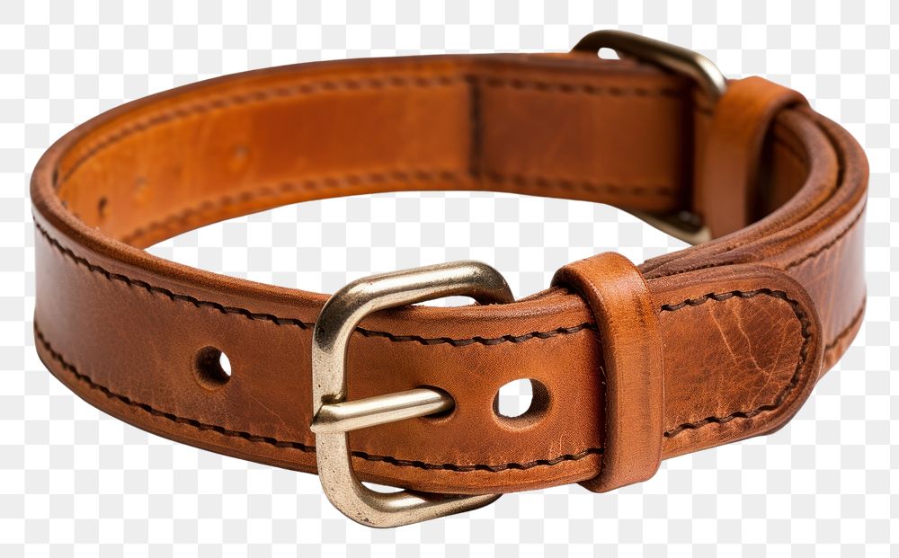 PNG Dog collar strap belt white background.