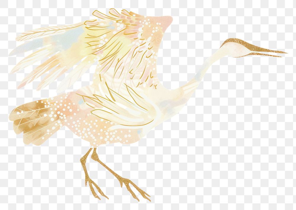 PNG Crane animal bird art.