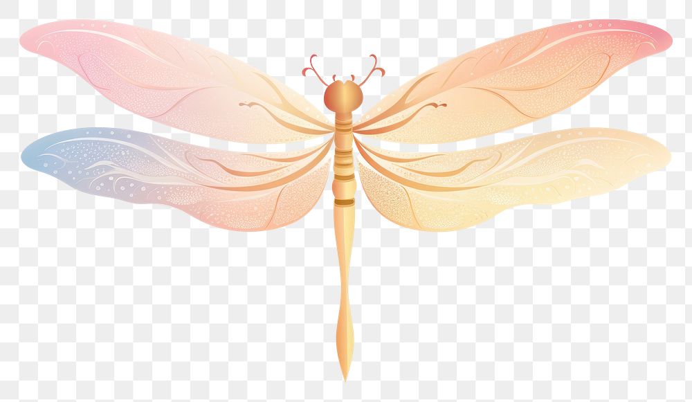 PNG Dragonfly nature colorfull animal insect white background.