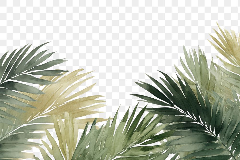 PNG Green palm watercolor backgrounds outdoors painting.