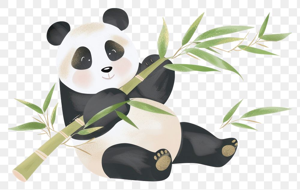 PNG Panda eat bamboo bear representation creativity.