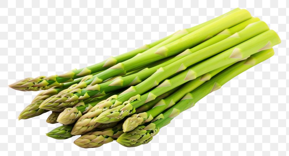 PNG Asparagus vegetable plant food.