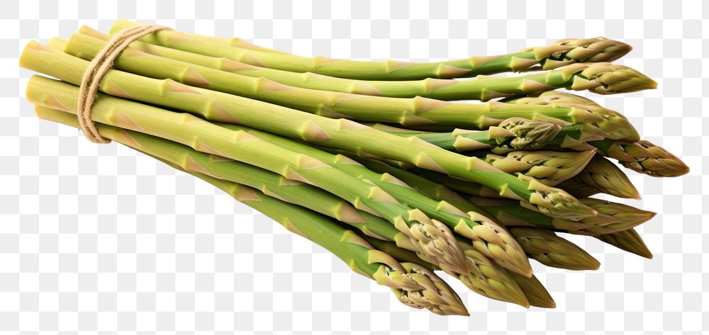 PNG Sheaf of Fresh asparagus vegetable plant food.
