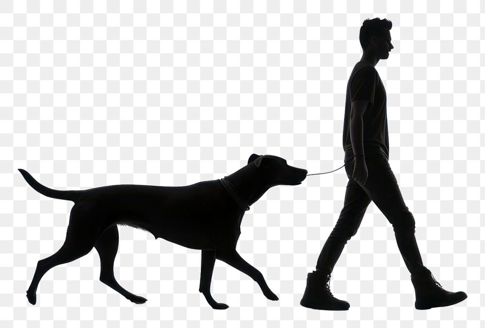 PNG Dog walk silhouette walking animal mammal.
