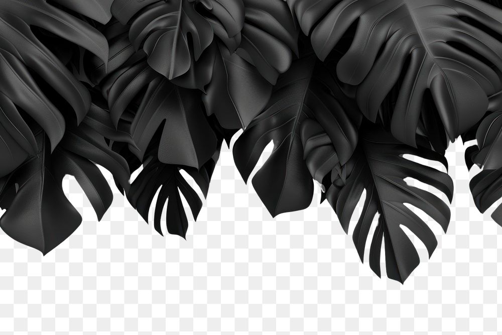 PNG 3d render of tropical leave matte black material backgrounds accessories monochrome.