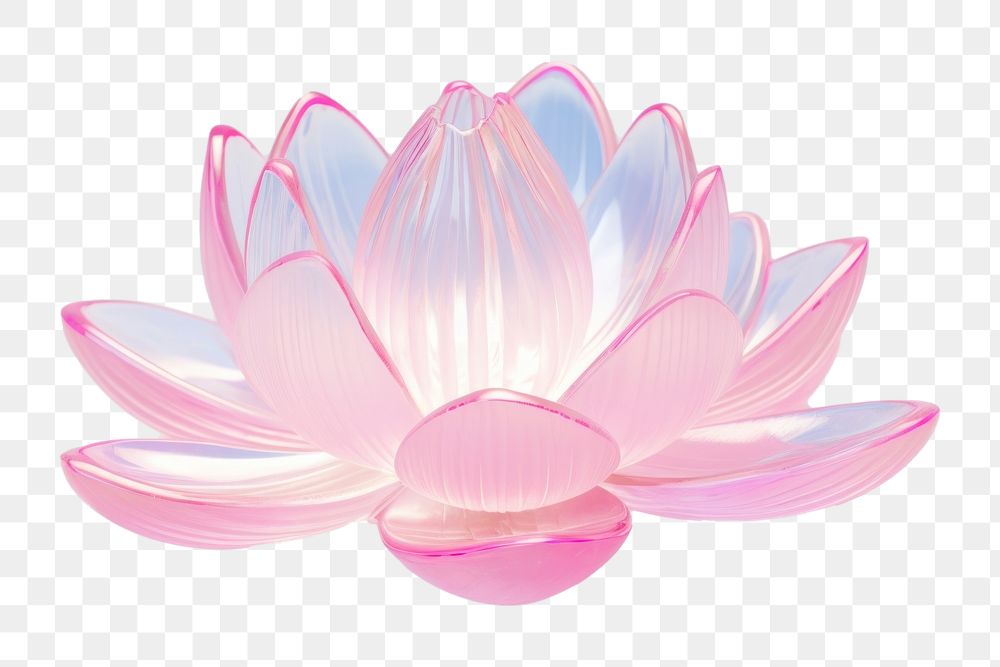 PNG Water lily jewelry flower petal.