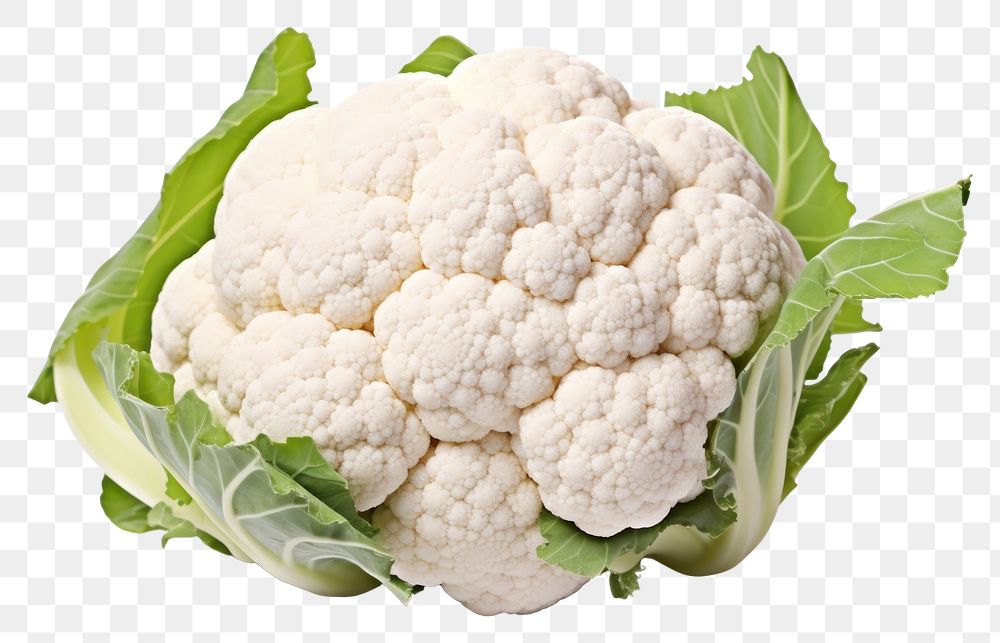 PNG Cauliflower vegetable white plant.